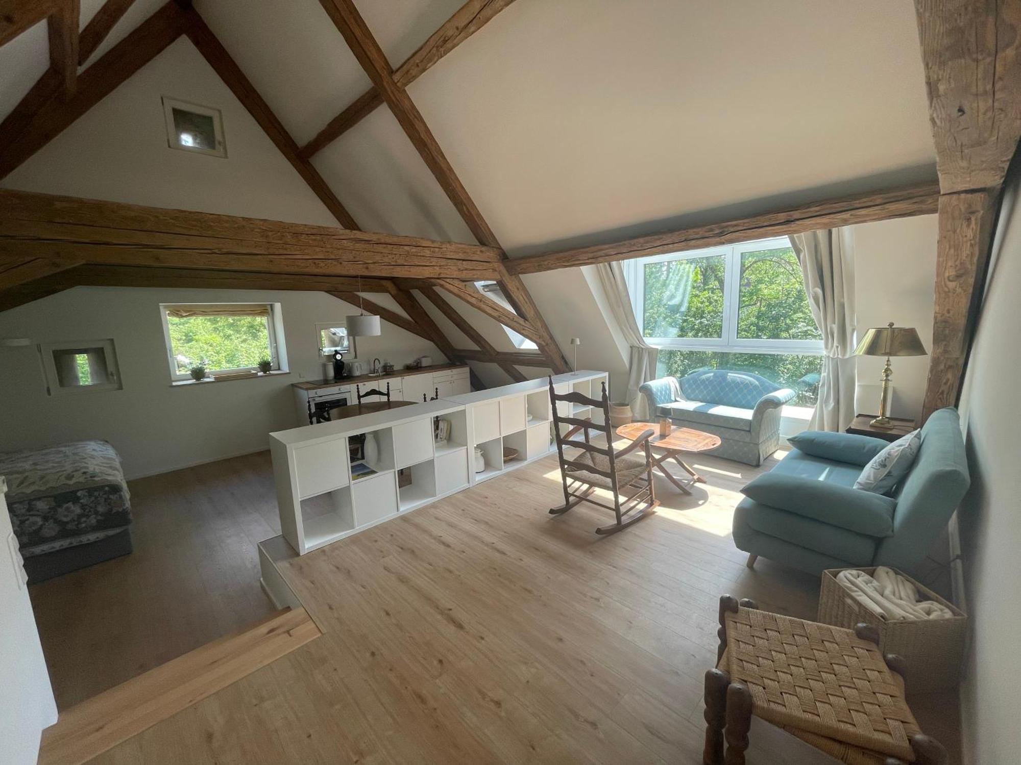 Historische Muehle Von Cramm, 6 Apartments Döttingen Kültér fotó